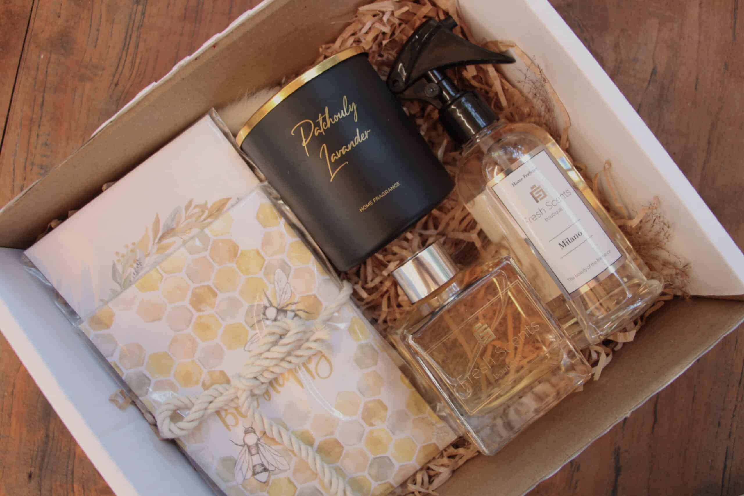 מארז STANDERT – תמונה 2